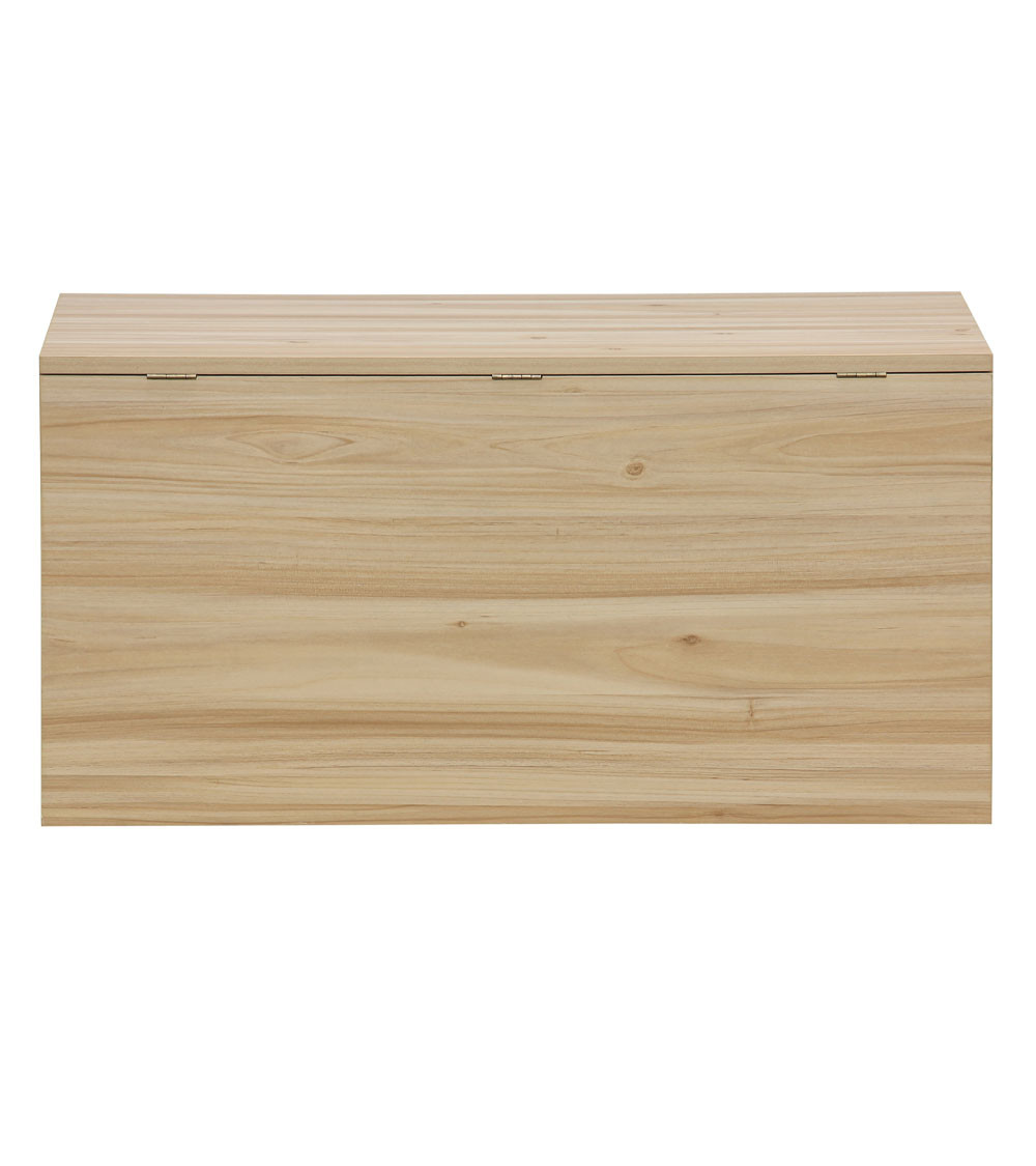 Baúl de almacenaje de ratán CAMILE